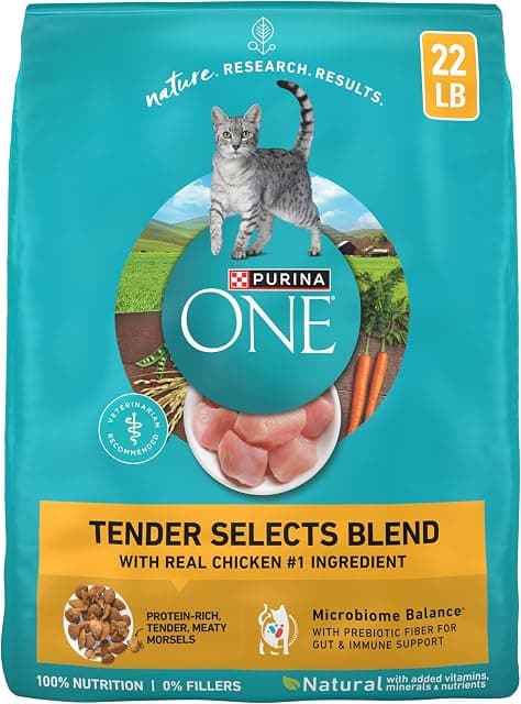 Purina ONE Natural Dry Cat Food