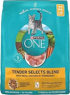 Purina ONE Natural Dry Cat Food