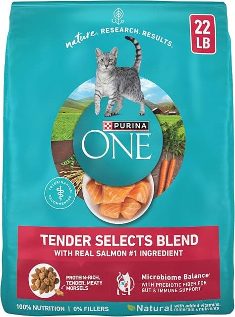 Purina ONE Natural Dry Cat Food
