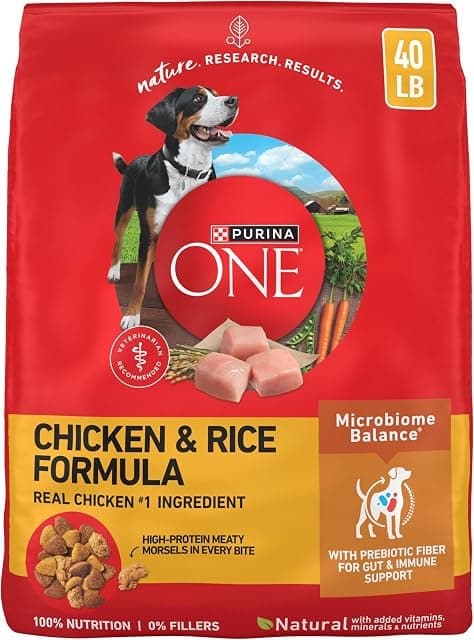 Purina ONE Chicken and Rice Formula Dry Dog Food - 40 lb. Bag