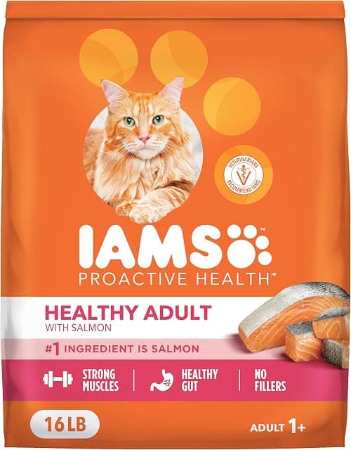 IAMS Proactive Health Dry Cat Food for Adults